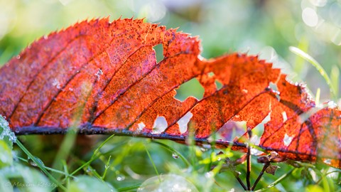 Photo by End of lifecycle