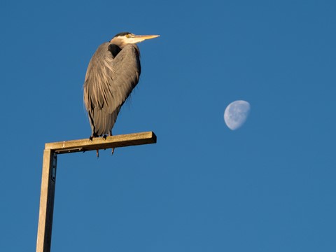 Photo by Moon Prayer