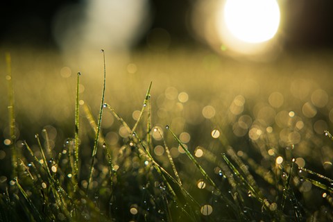 Photo by Jordan Stead