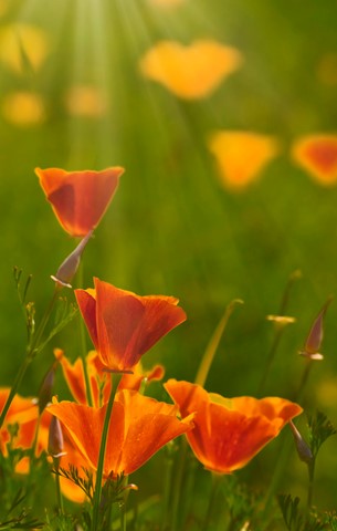 Photo by Dark and blurry