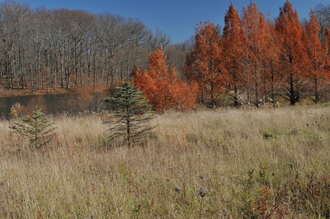 Photo by RANDY WISCH