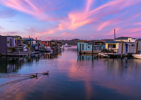 Photo by Dennis Bayer