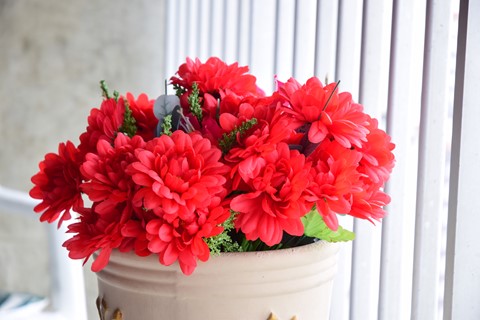 Photo by Antonio Pinto