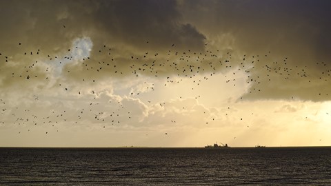 Photo by Holger Bargen