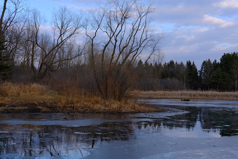 Photo by Nikhil Arora