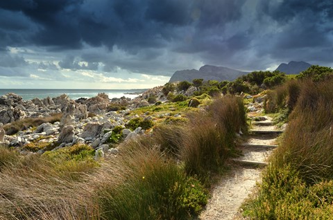 Photo by Nigelpitt13