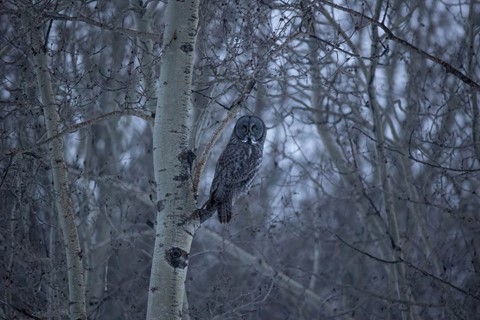 Photo by Jason on Wheels