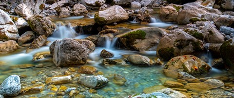 Photo by Frank Bodewig