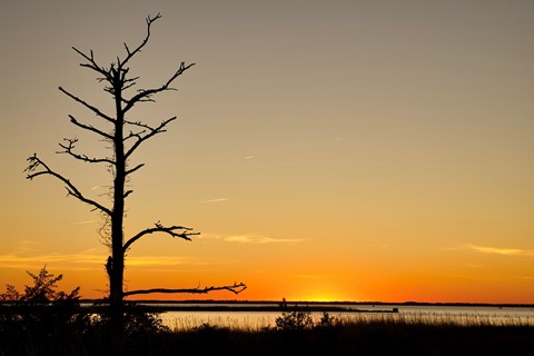 Photo by Currituck Reserve Sunset