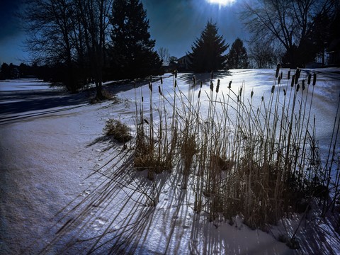 Photo by James Korringa