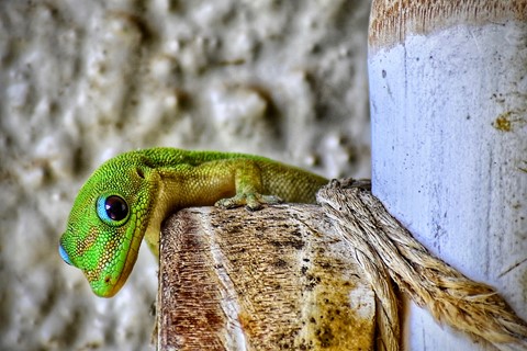 Photo by itsallBb2me