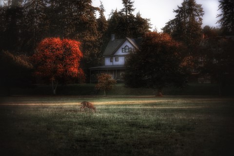 Photo by itsallBb2me