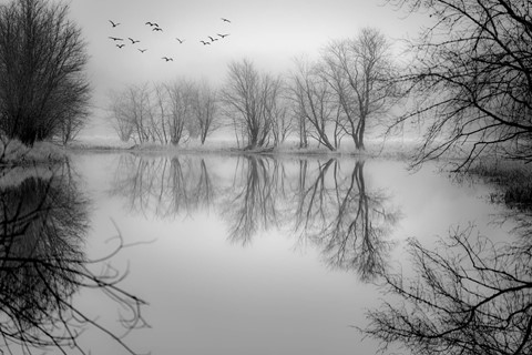 Photo by DHAPhotography