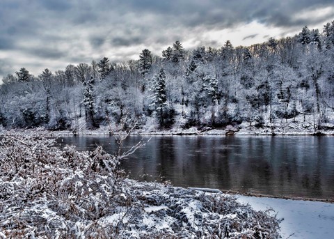 Photo by Steve Blumert