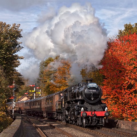 Photo by Steam Season