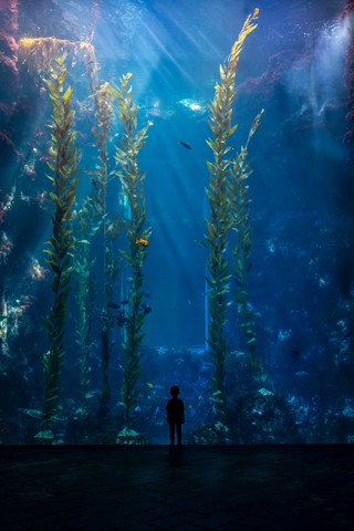 Photo by DoctorKajita