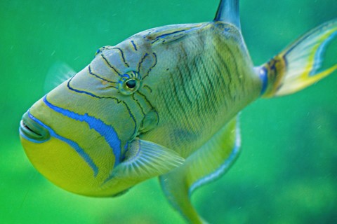 Photo by Holger Bargen