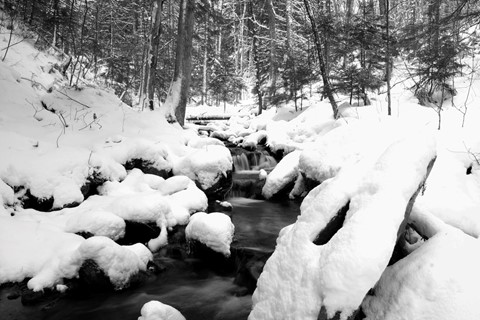 Photo by Yellowthroatphoto