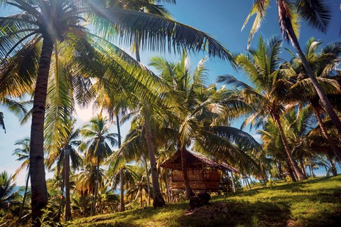 Photo by Yegordremov