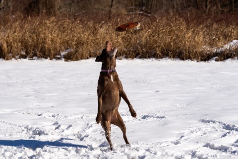 Photo by imarollingstone