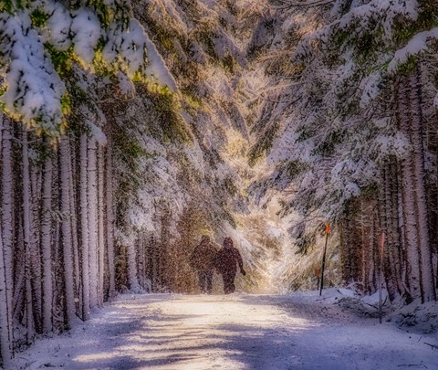 Photo by DHAPhotography