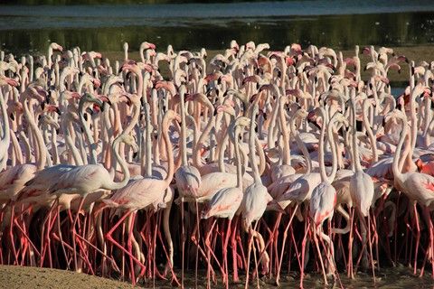 Photo by Nilesh Trivedi