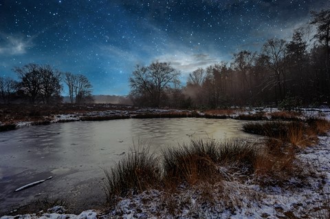 Photo by Jelle Zijlstra