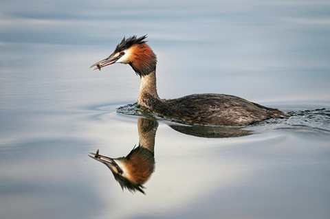 Photo by photobob1950