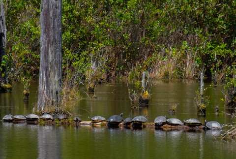 Photo by Olympus-Panasonic Fan Boy