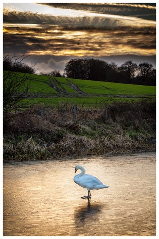 Photo by jonestheroad