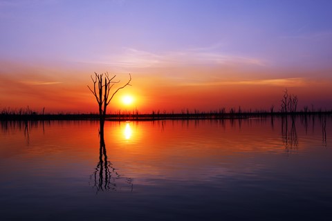 Photo by Nilesh Trivedi