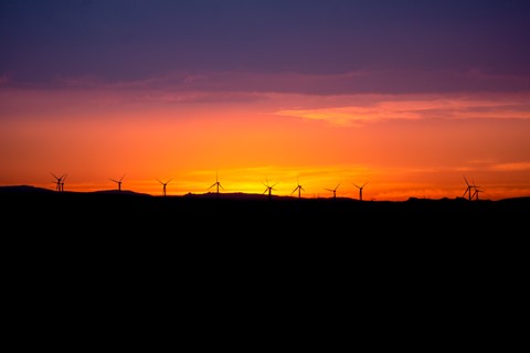 Photo by brandyn_rudolph