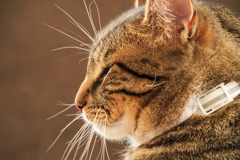 Photo by This cannot be the same as anyone else