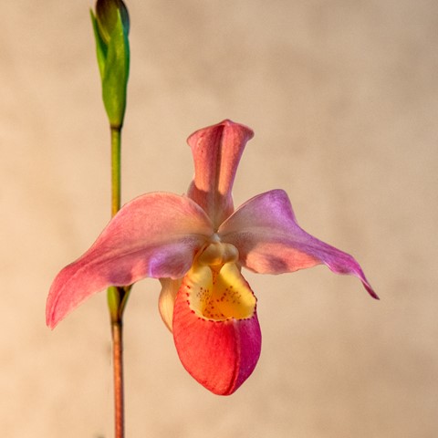 Photo by jmiller1948