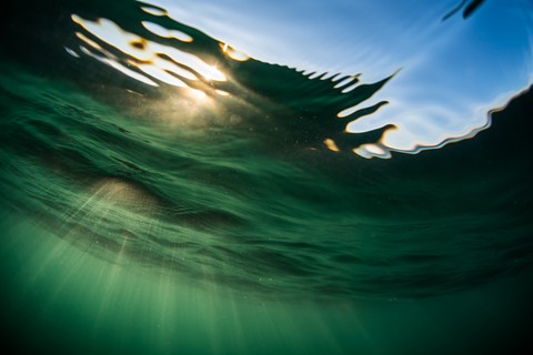 Photo by Olivier Delorieux