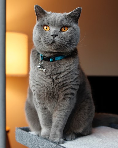 Photo by alex_fugazi