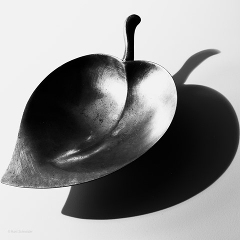 Photo by M Schneider