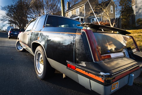 Photo by M Schneider