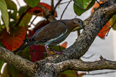 Photo by sergiodaguru