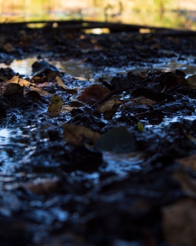 Photo by T-Bro Steak