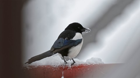 Photo by Alexandros G