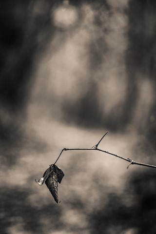 Photo by themountainphotographer