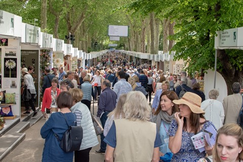 Photo by softmarmotte