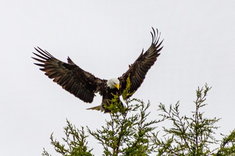 Photo by Jeep_Joseph