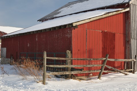 Photo by RANDY WISCH