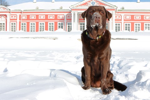 Photo by manishtushu