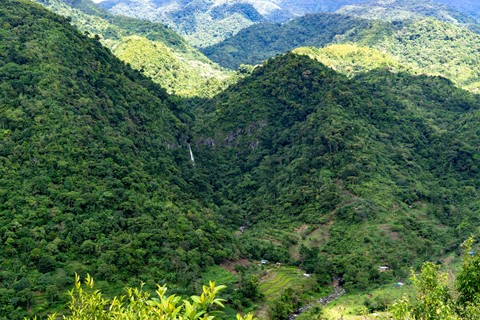 Photo by likbatonboot