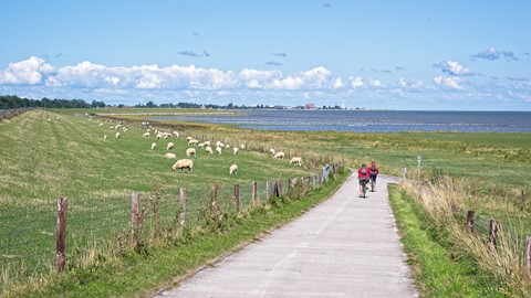 Photo by Holger Bargen