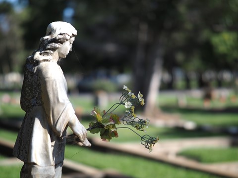 Photo by rodriguezPhoto