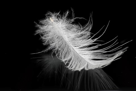 Photo by manishtushu